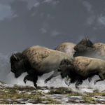 PainThatWontGoAway 495x400