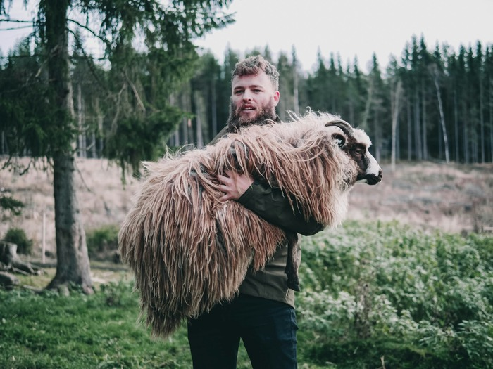 Man holding heavy sheep