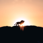 WhyYouAreNotDefineByYourActions 495x400